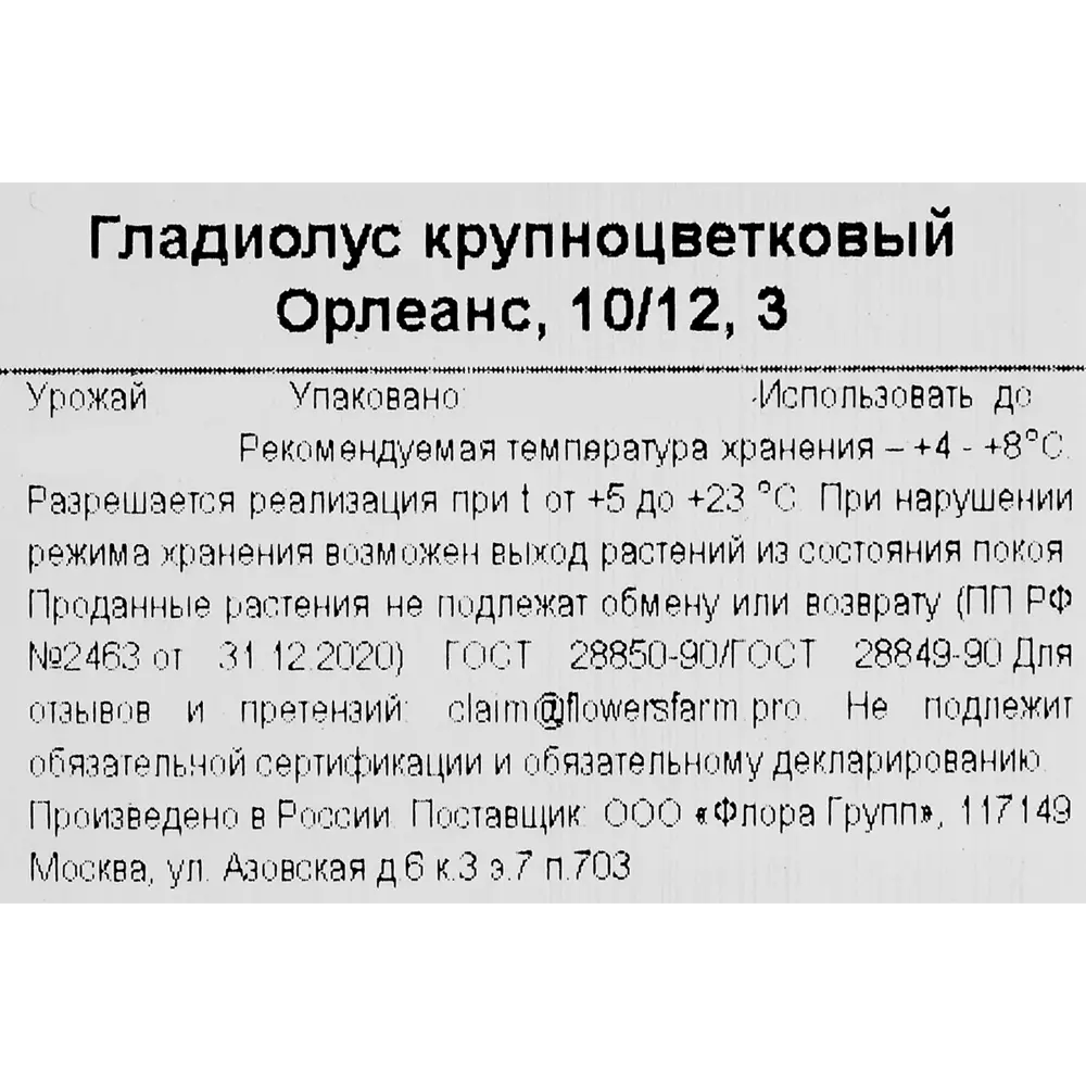 Гладиолус крупноцветковый Орлеанс 86735661 STLM-2169661 Santreyd  - Вид №2