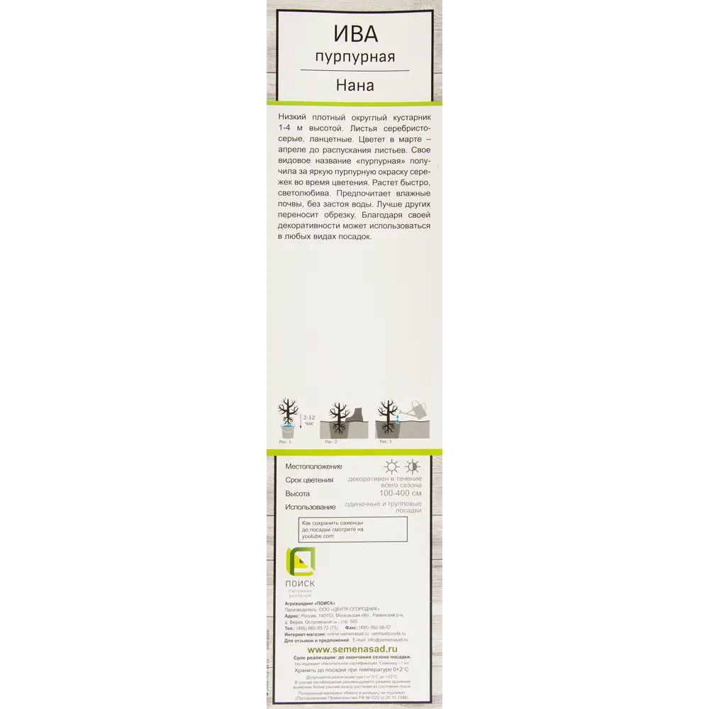 Ива пурпурная Нана в тубе Поиск Инвест 81951287 STLM-2165076 Santreyd  - Вид №1
