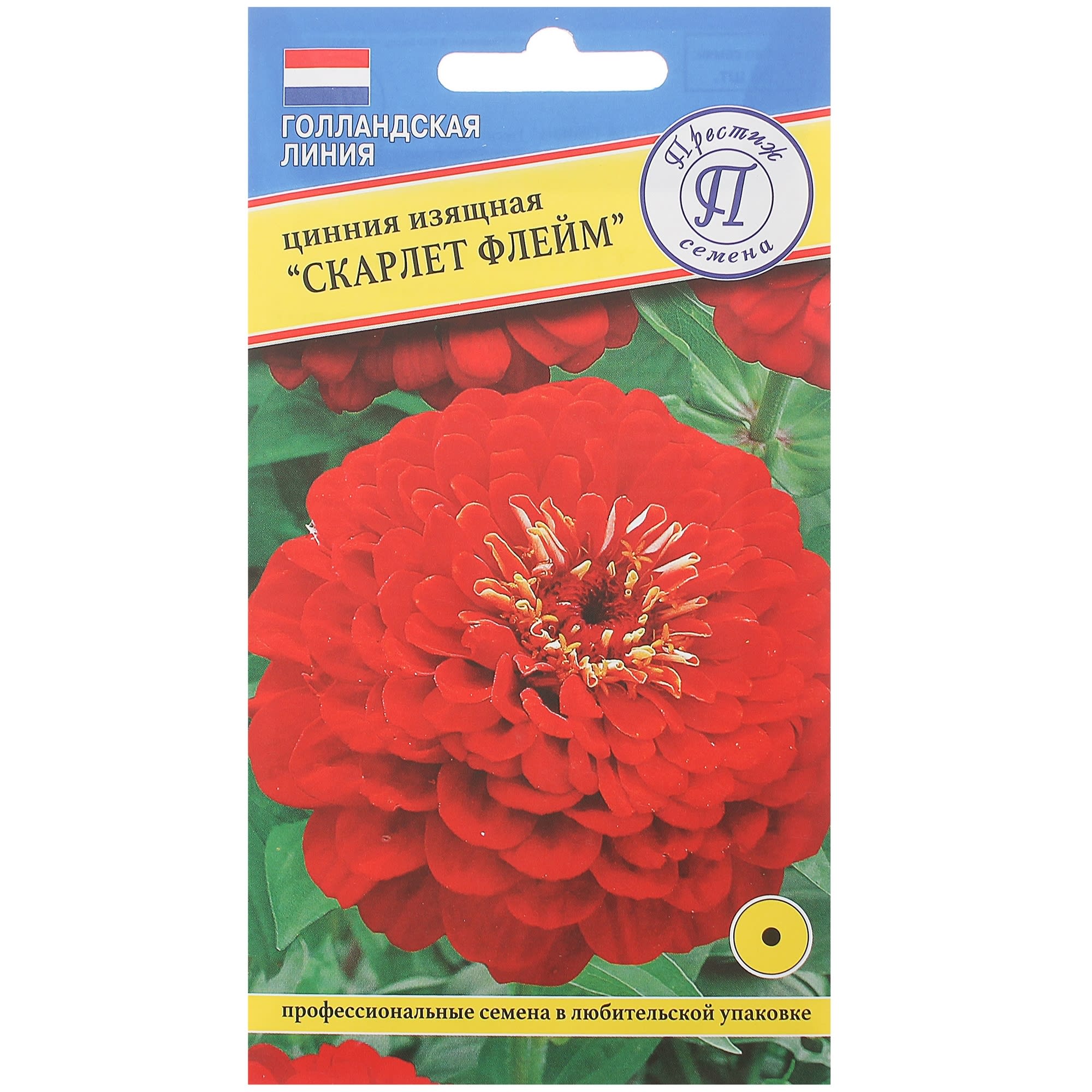 13895827 Цинния изящная «Скарлет флейм» Santreyd 