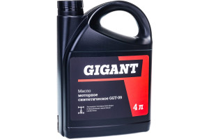 18372703 Моторное масло синтетическое, 4л GGT-09 Gigant