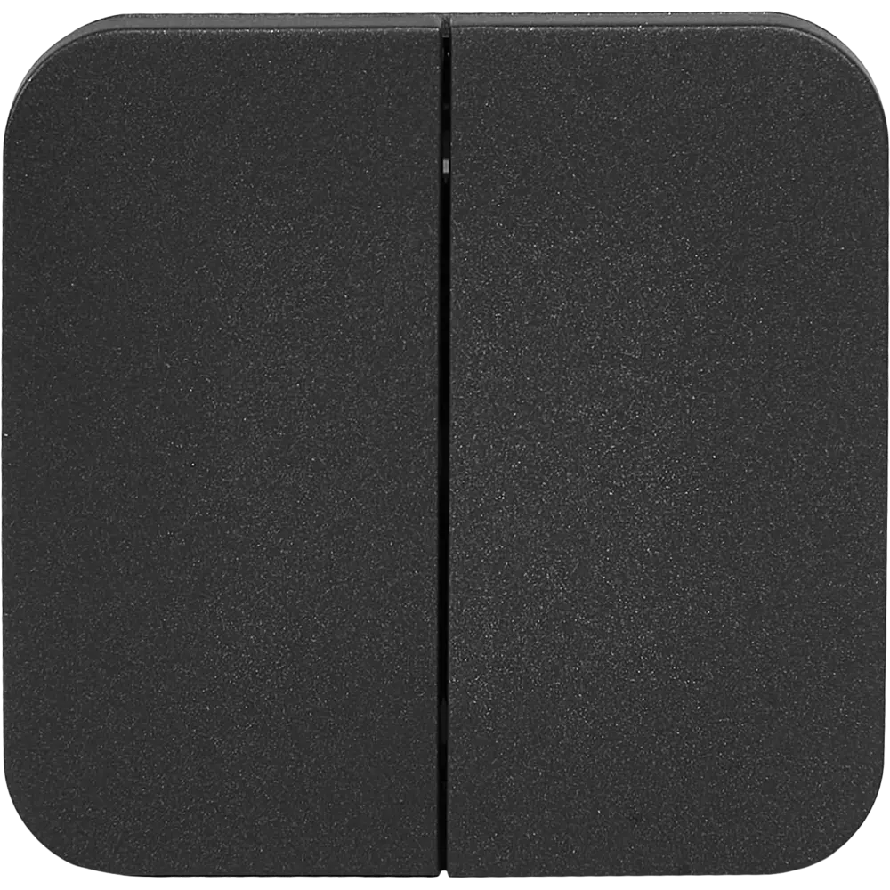 Выключатель накладной Schneider Electric Blanca 10 Ас 2 клавиши цвет антрацит 86724496 STLM-2136152 SYSTEME ELECTRIC - Вид №1