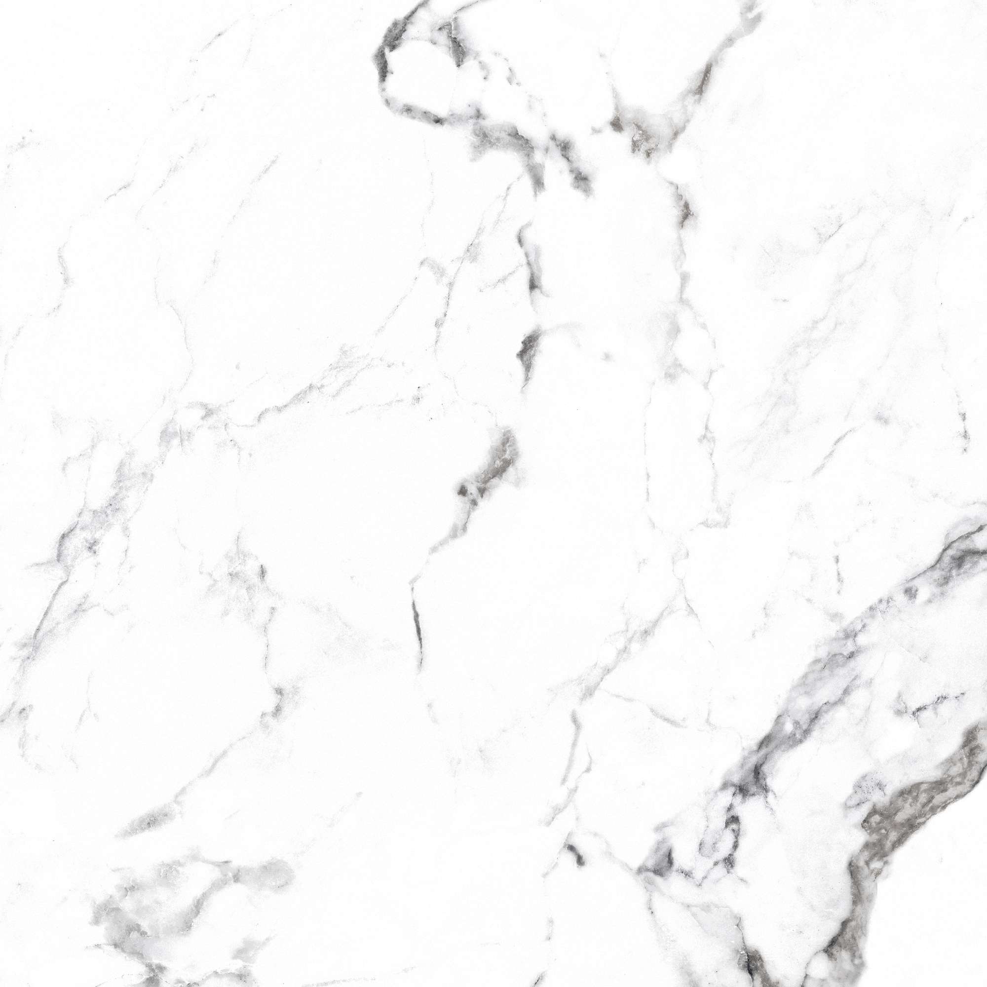Керамогранит BORGHINI SILVER 60х60 Arcadia Ceramica CR4006-A STLM-2206816 89396428 Carving - Вид №20