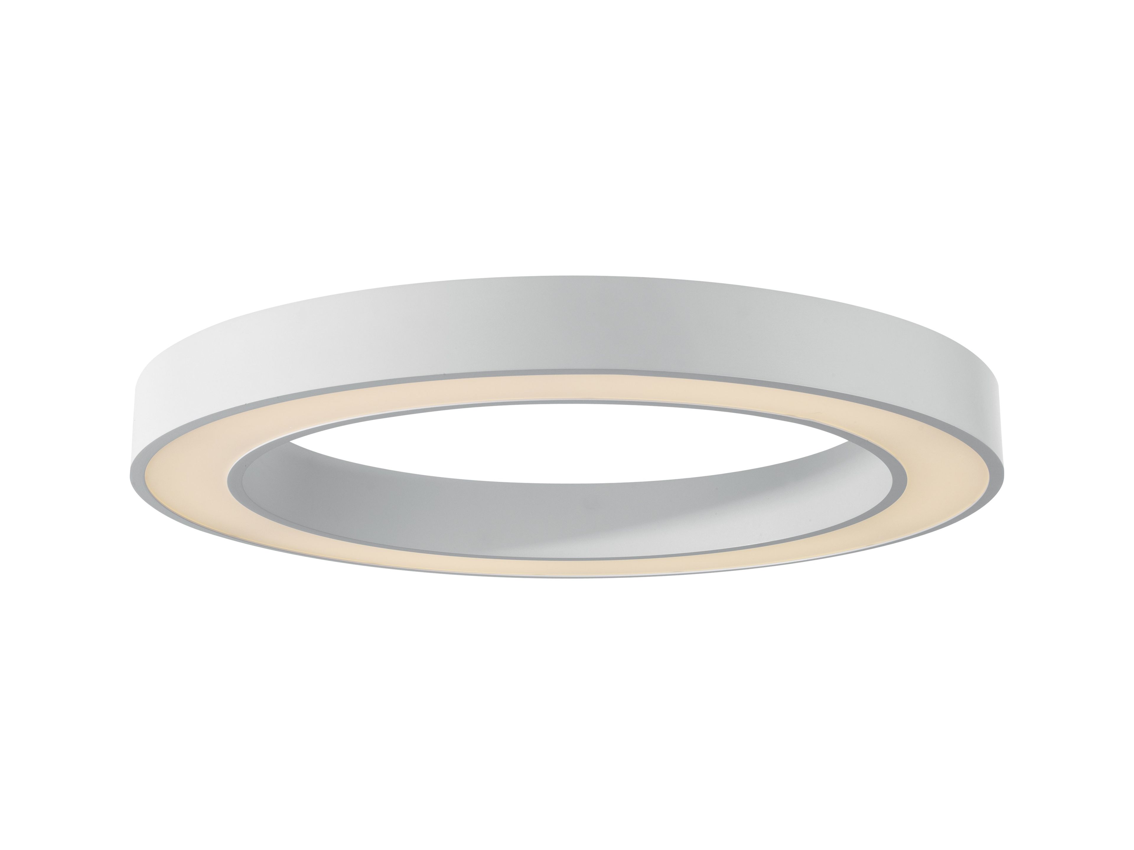 Светодиодный потолочный светильник PAN BIKE ARCH-00039376 - Вид №1