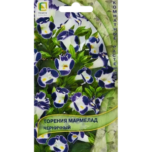 Семена цветов Поиск торения Мармелад черничный 5 шт. 89346583 STLM-2030225