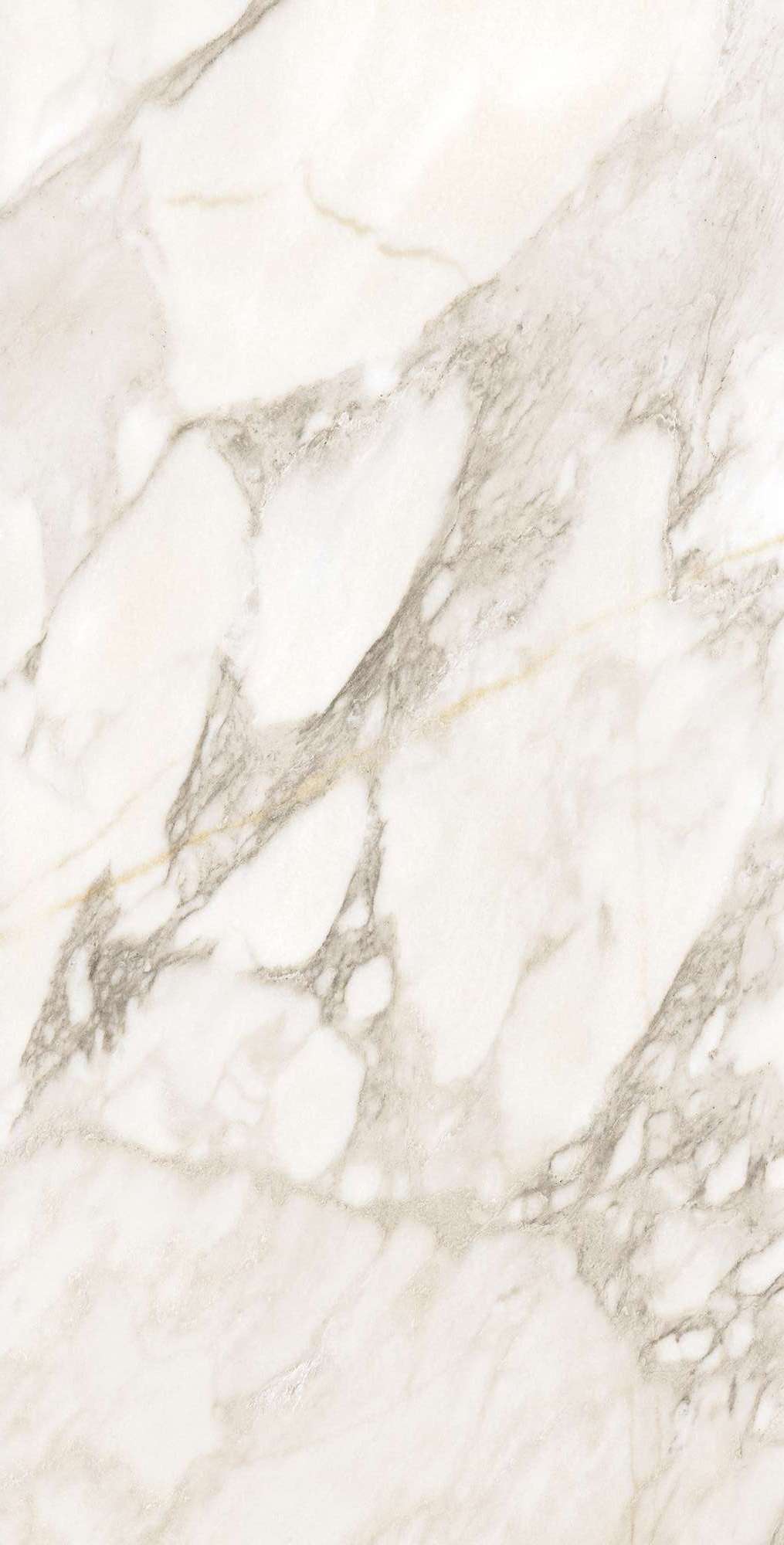 Керамогранит AURORA BEIGE 60х120 Arcadia Ceramica FP1016-A STLM-1576875 89396418  - Вид №12