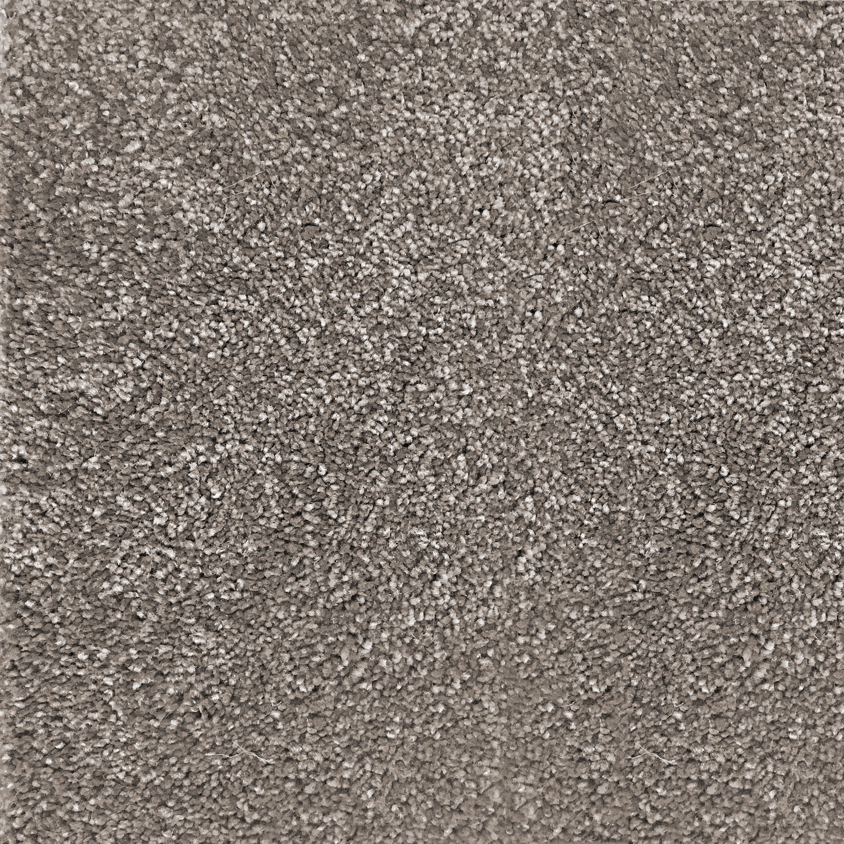 Ковер / Ковер Ademi Резка по запросу - от стены до стены (внутри помещений) ARCH-00117636 - Вид №2