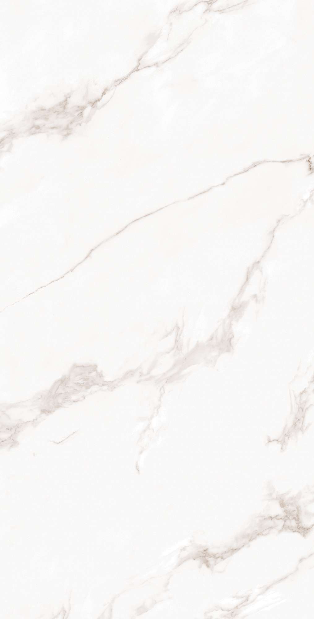 Керамогранит CALACATTA BIANCO 60х120 Arcadia Ceramica FP1019-A - Вид №8