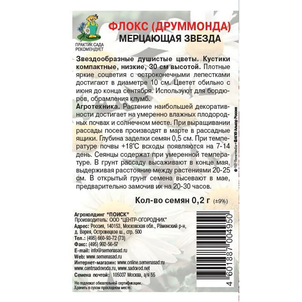 Семена цветов Поиск флокс Мерцающая звезда 86218001 STLM-2130242  - Вид №1