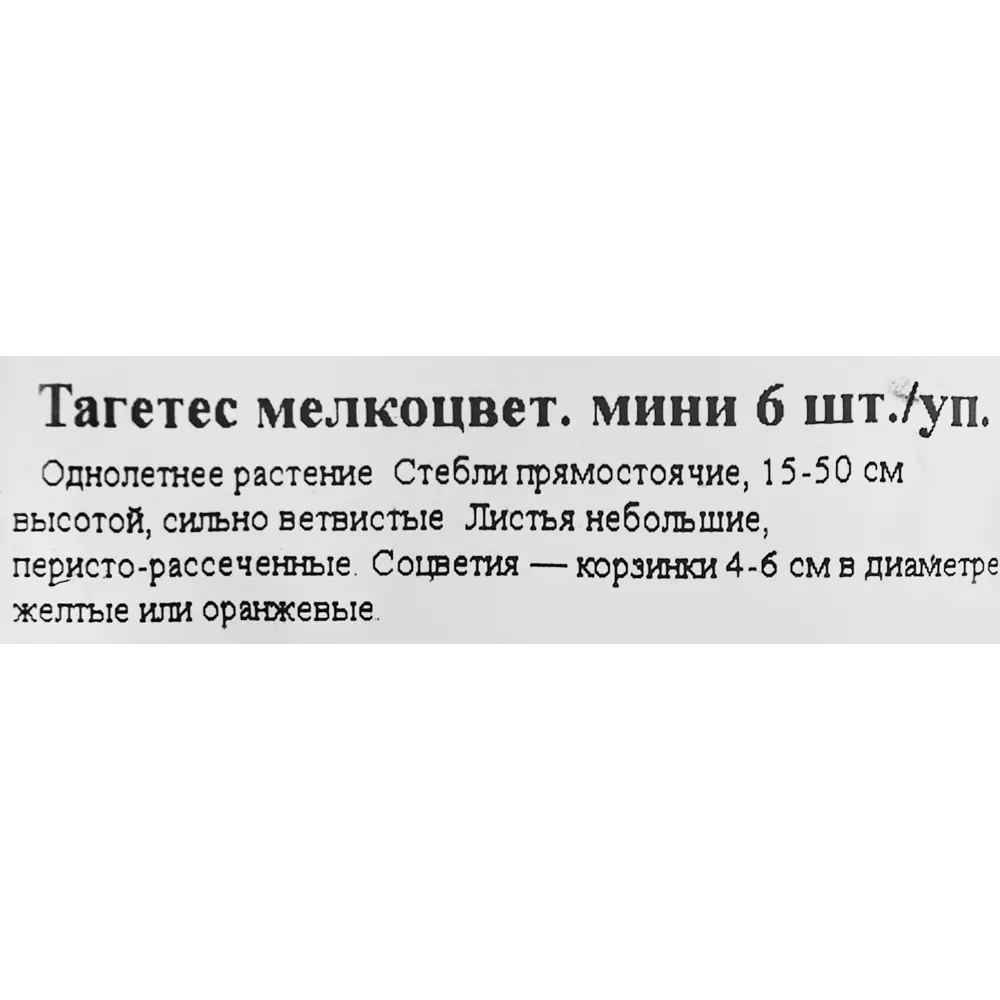 Рассада Тагетес мелкоцветковый h15 см, 6 шт. 83248309 STLM-2130205 Santreyd  - Вид №2
