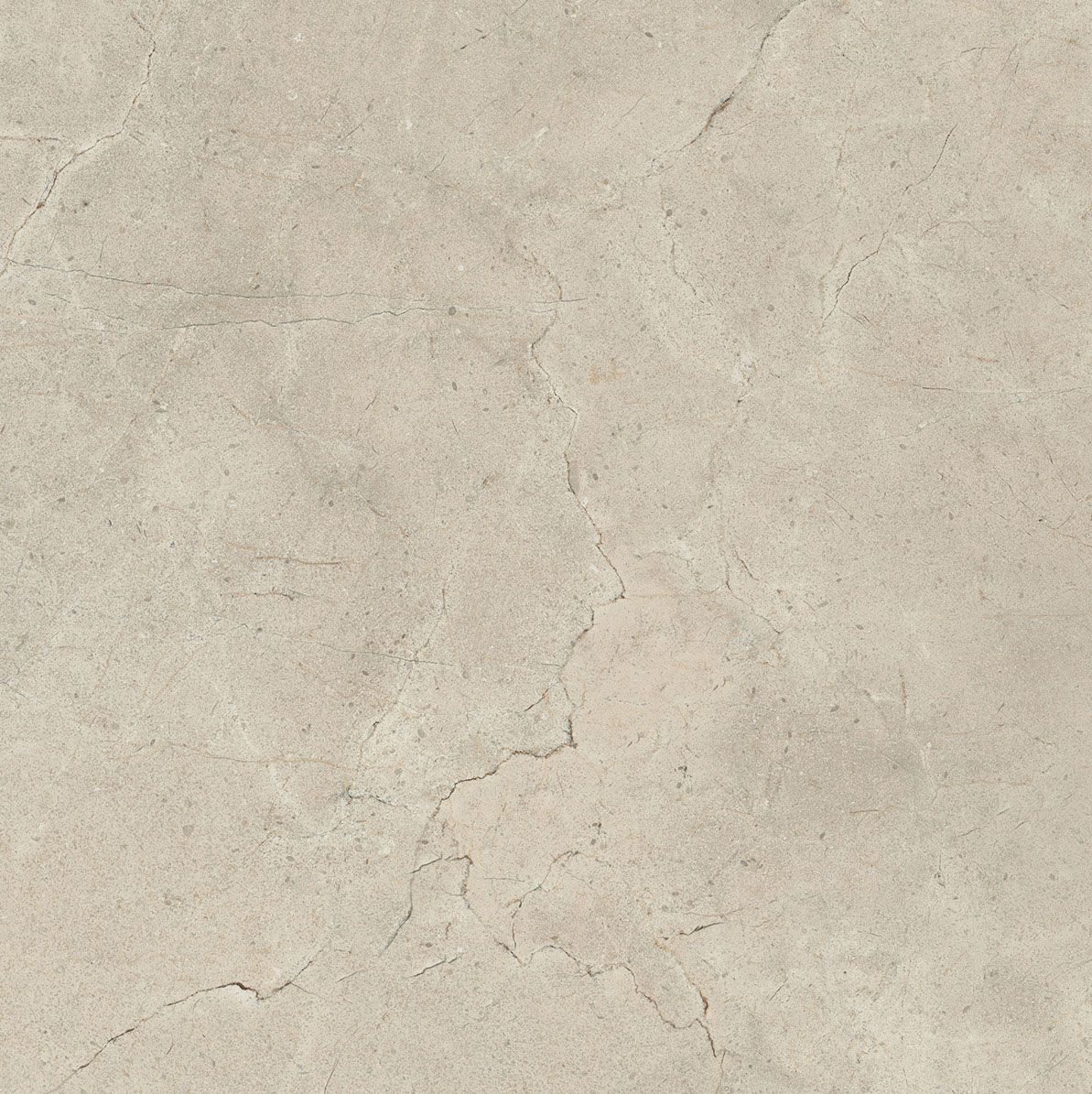 Пол / облицовка керамогранита с эффектом камня Italgraniti Calcis ARCH-00112215 - Вид №24