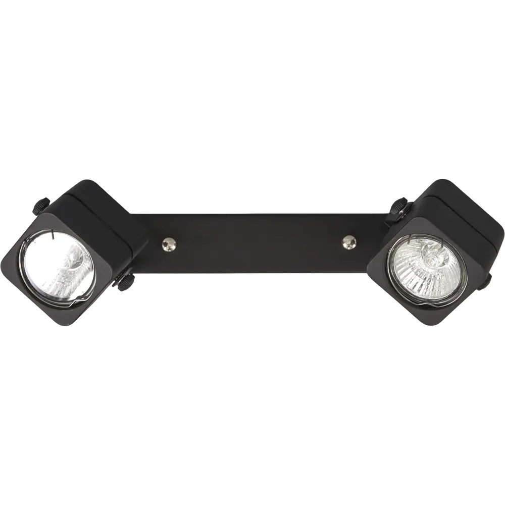 Спот поворотный Lene 2хGU10х50 Вт металл цвет чёрный Arte Lamp STLM-2175684 - Вид №1