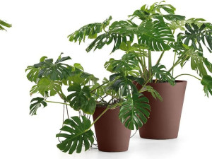 Круглый полиэтиленовый садовый горшок