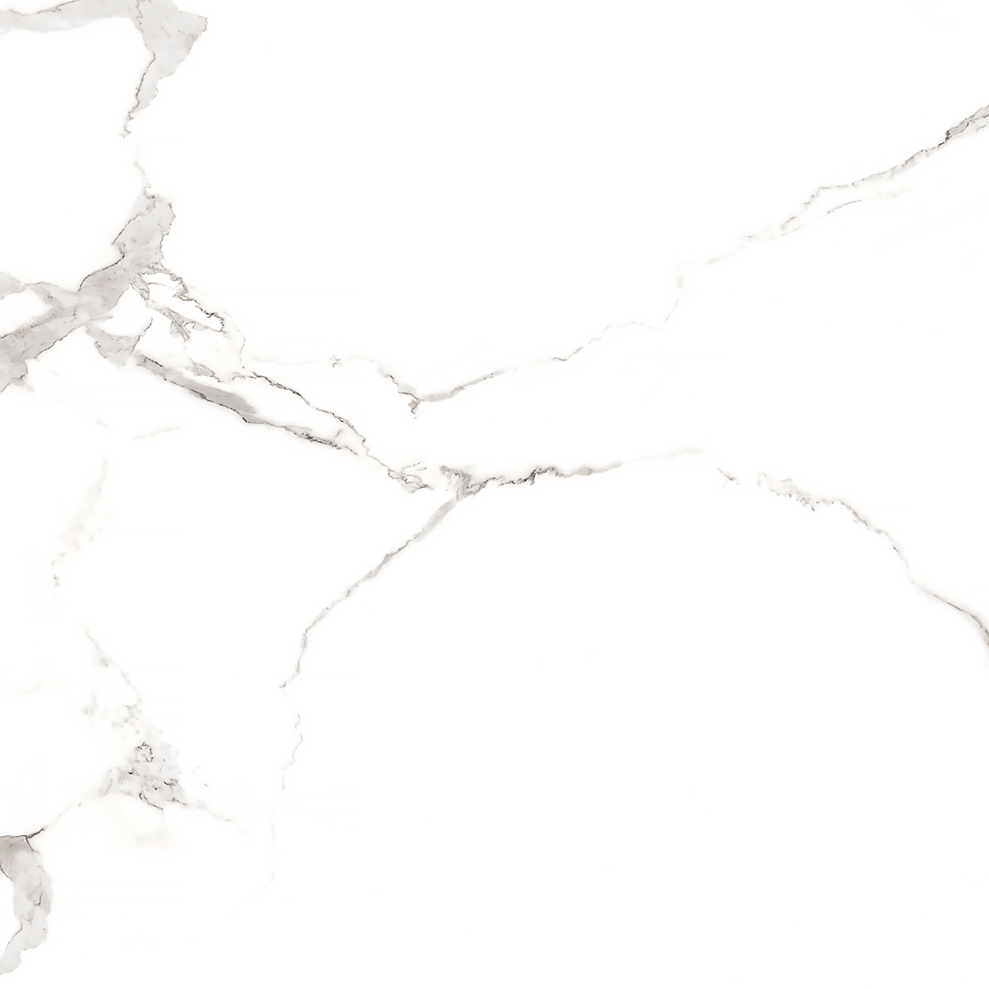 Керамогранит STATUARIO MIRES 60х60 Arcadia Ceramica FP1012-A STLM-1571933 89405719  - Вид №5