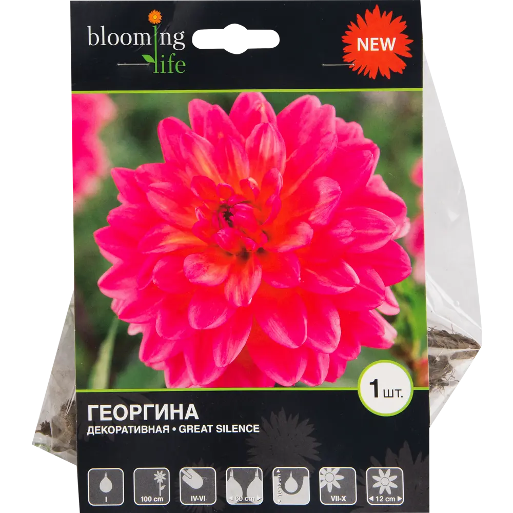Георгина «Грейт сайленс» BLOOMING LIFE STLM-2003545