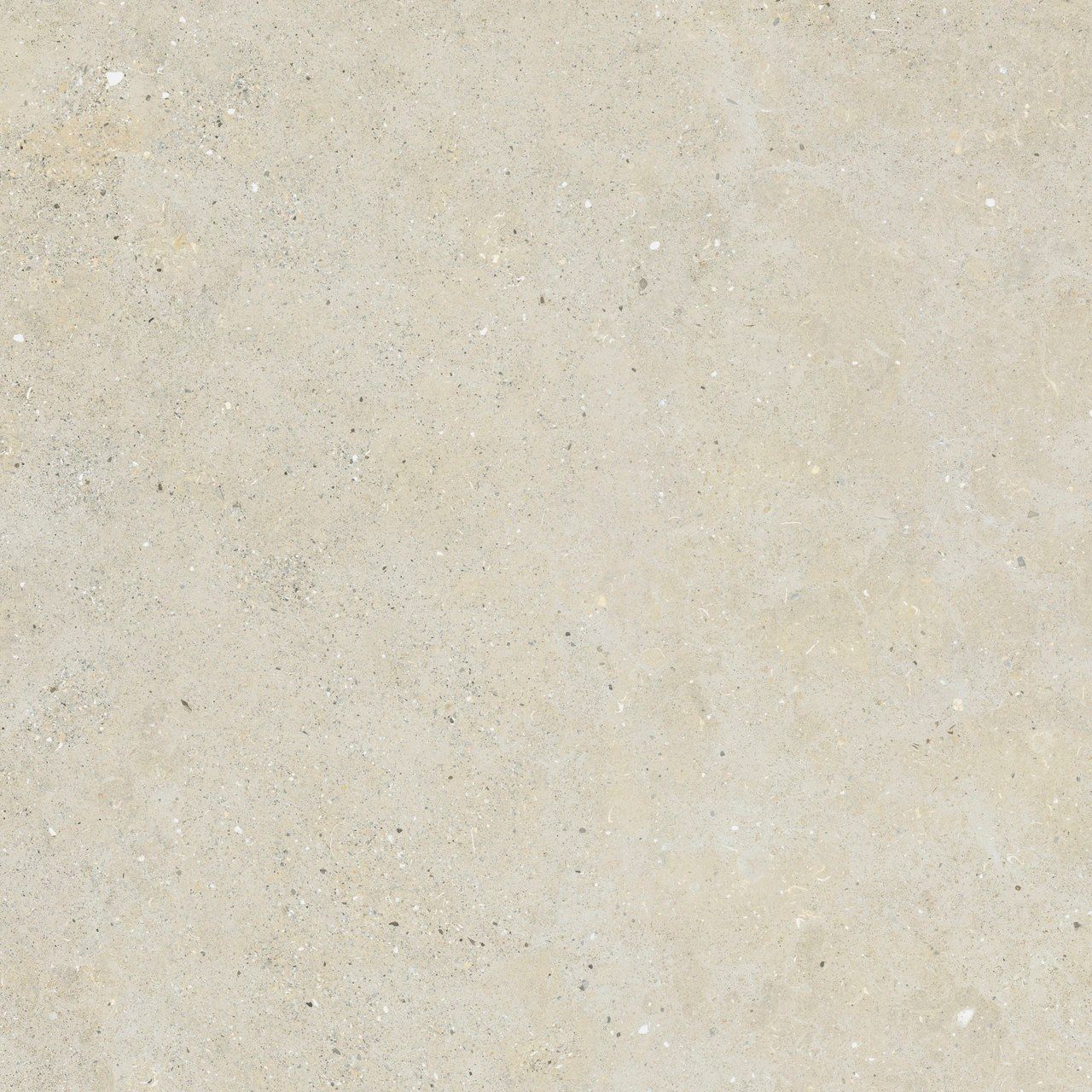 Пол / облицовка керамогранита с эффектом камня Fiandre сплошная ARCH-00064634 - Вид №14