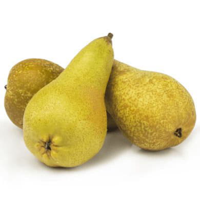 Груши Конференц Сербия Santreyd 1901 - Вид №1