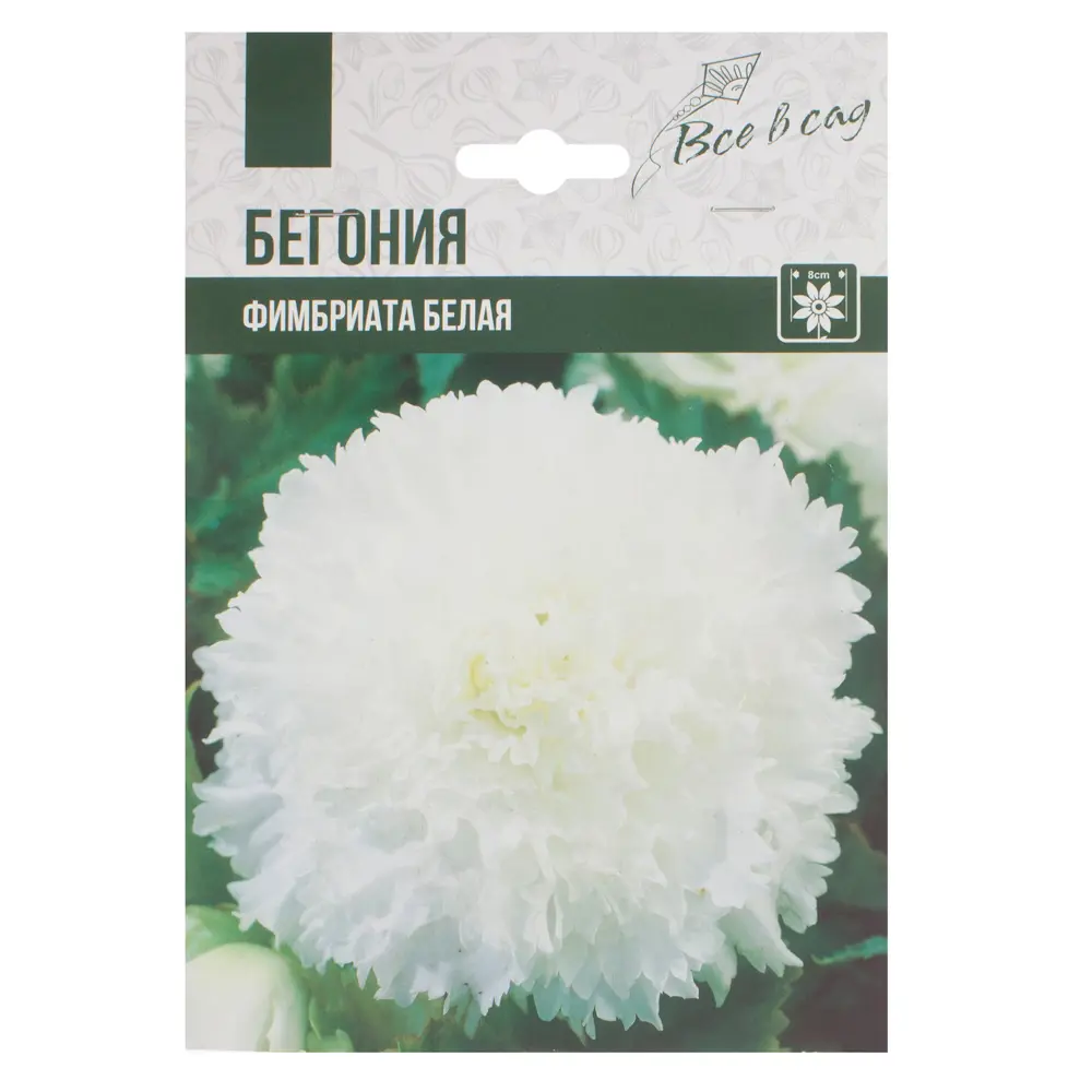 Бегония Фимбриата белый луковица 4/5 2 шт ВСЕ В САД STLM-2089290