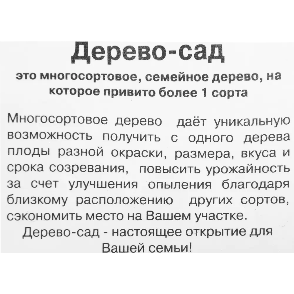 82585381 Дерево-сад груша 2-3 года 28x130 см STLM-0030718 Santreyd  - Вид №1