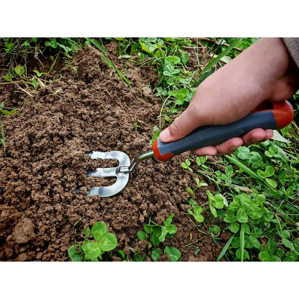 Вилы BEGINIA сталь 5.8 см STLM-2174298 - Вид №7