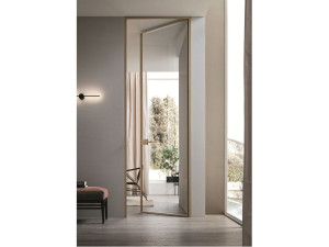 Стеклянная и алюминиевая распашная дверь