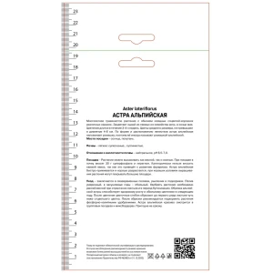 Астра альпийская Альба 89452341 STLM-2090732