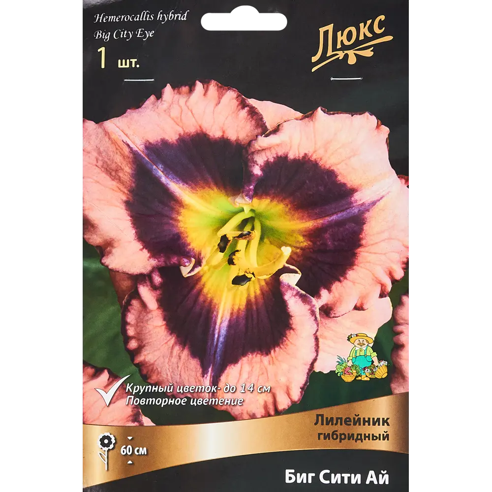 Лилейник гибридный Биг Сити Ай ПОИСК STLM-2058604
