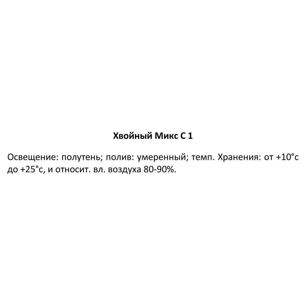 Хвойный микс ø15 h40 см 84429197 STLM-2026254 Santreyd  - Вид №3