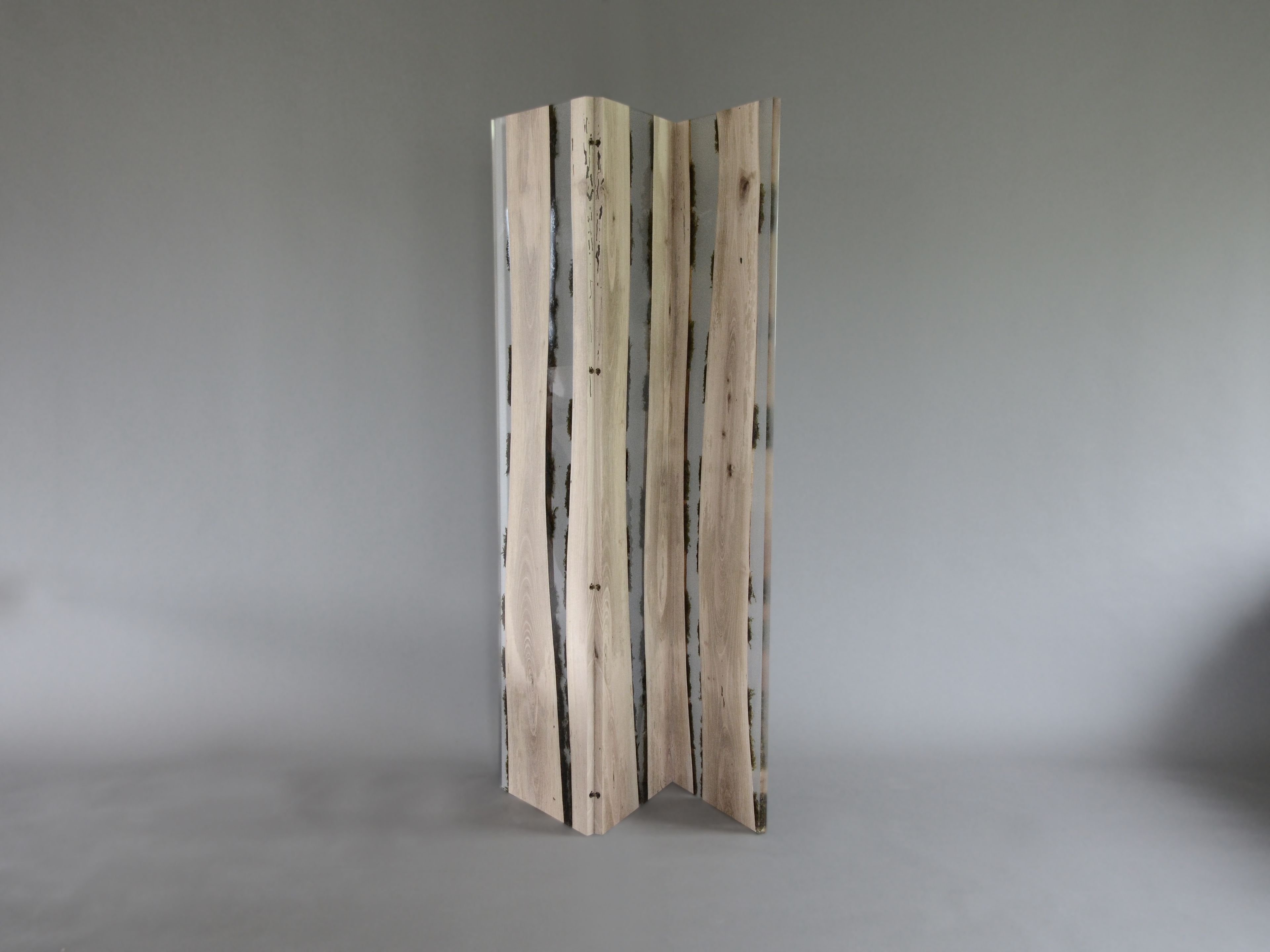 Ширма alcarol Подлесок ARCH-00061418 - Вид №1