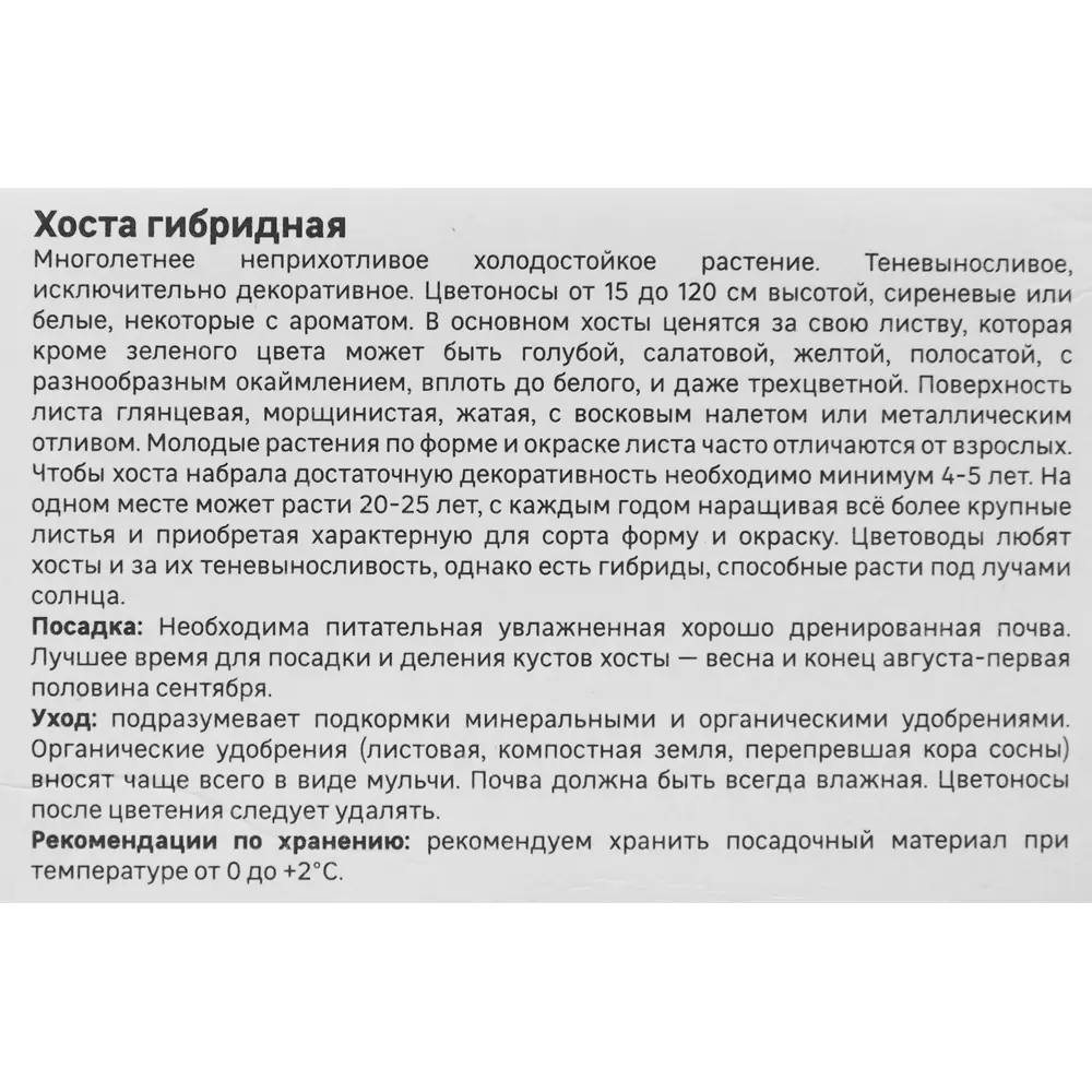 Хоста гибридная Мохито Santreyd STLM-2132219 - Вид №3