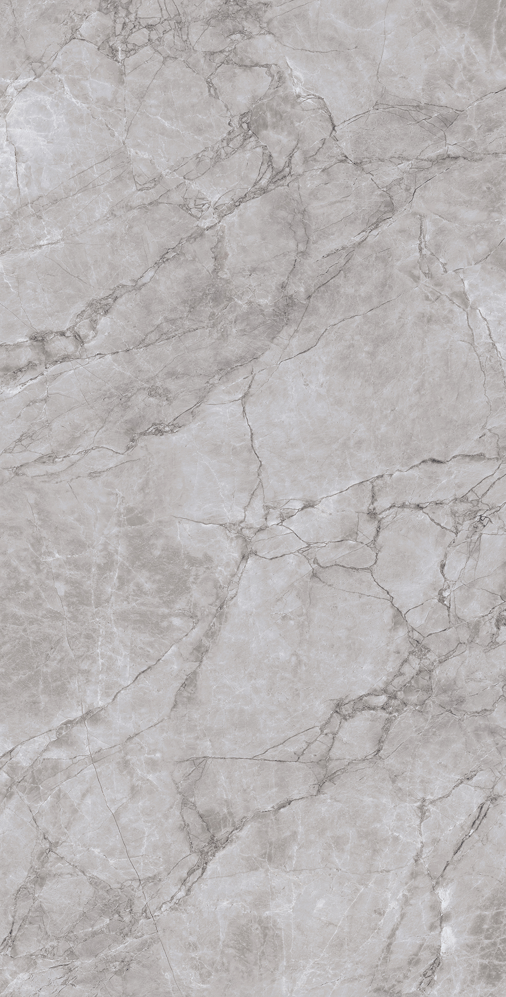 Керамогранит ARCTIC GREY 60х120 Arcadia Ceramica CR4012-A - Вид №4