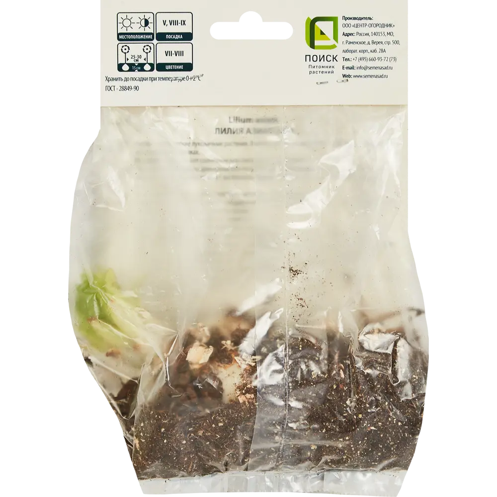 Лилия азиатская Айс Берри ПОИСК STLM-2081623 - Вид №1