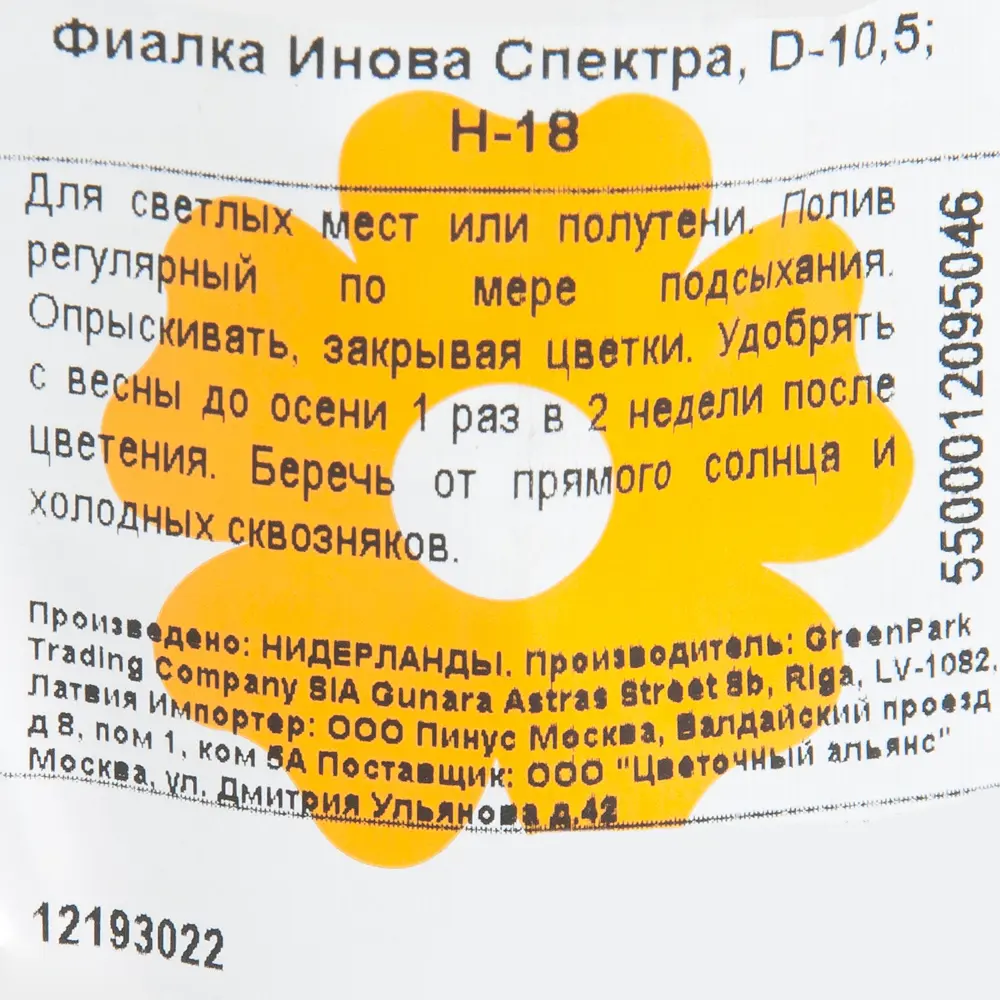 Фиалка Инова Спектра 10х18 см 12193022 STLM-2103260 Santreyd  - Вид №2