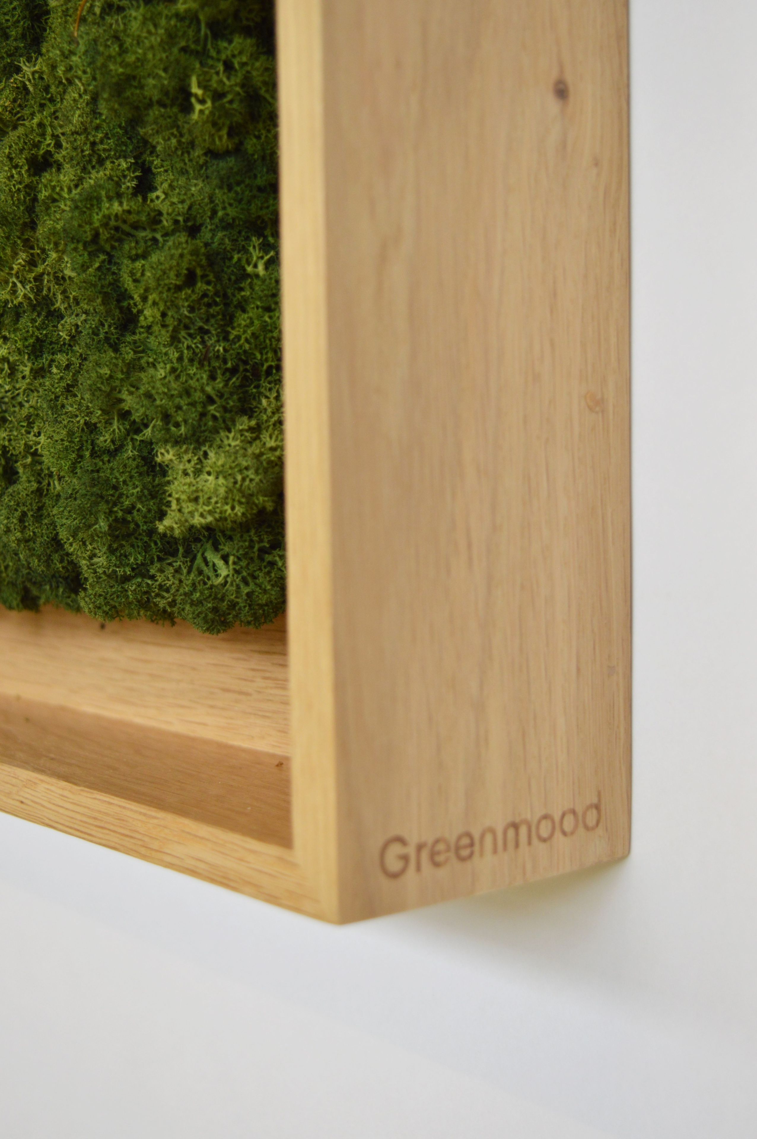 Акустическая панель из мха GREENMOOD FRAMED HARMONY ARCH-00128753 - Вид №21