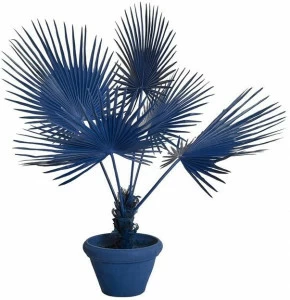 Pols Potten Искусственное растение из пластика  540-300-017