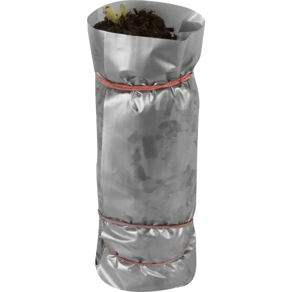 Клематис гибридный Нелли Мозер в тубе ВСЕ В САД STLM-2159424 - Вид №1