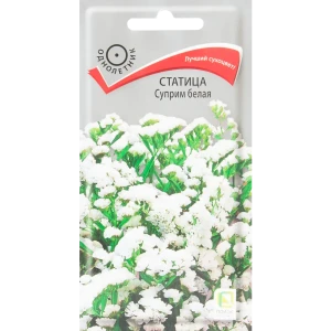 Семена цветов Статица Суприм белая Поиск 82424765 STLM-2004593