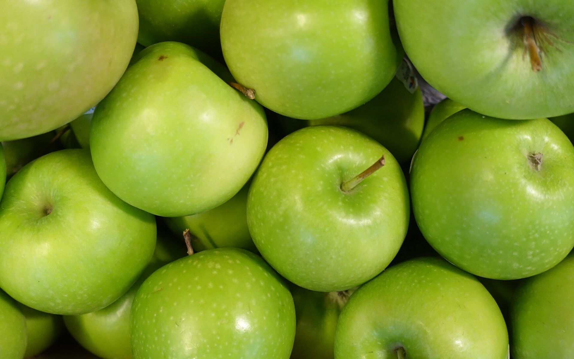 Набор для спа-ароматерапии Aquademy AROMATERAPIA IN ACQUA ARCH-00083585 - Вид №11