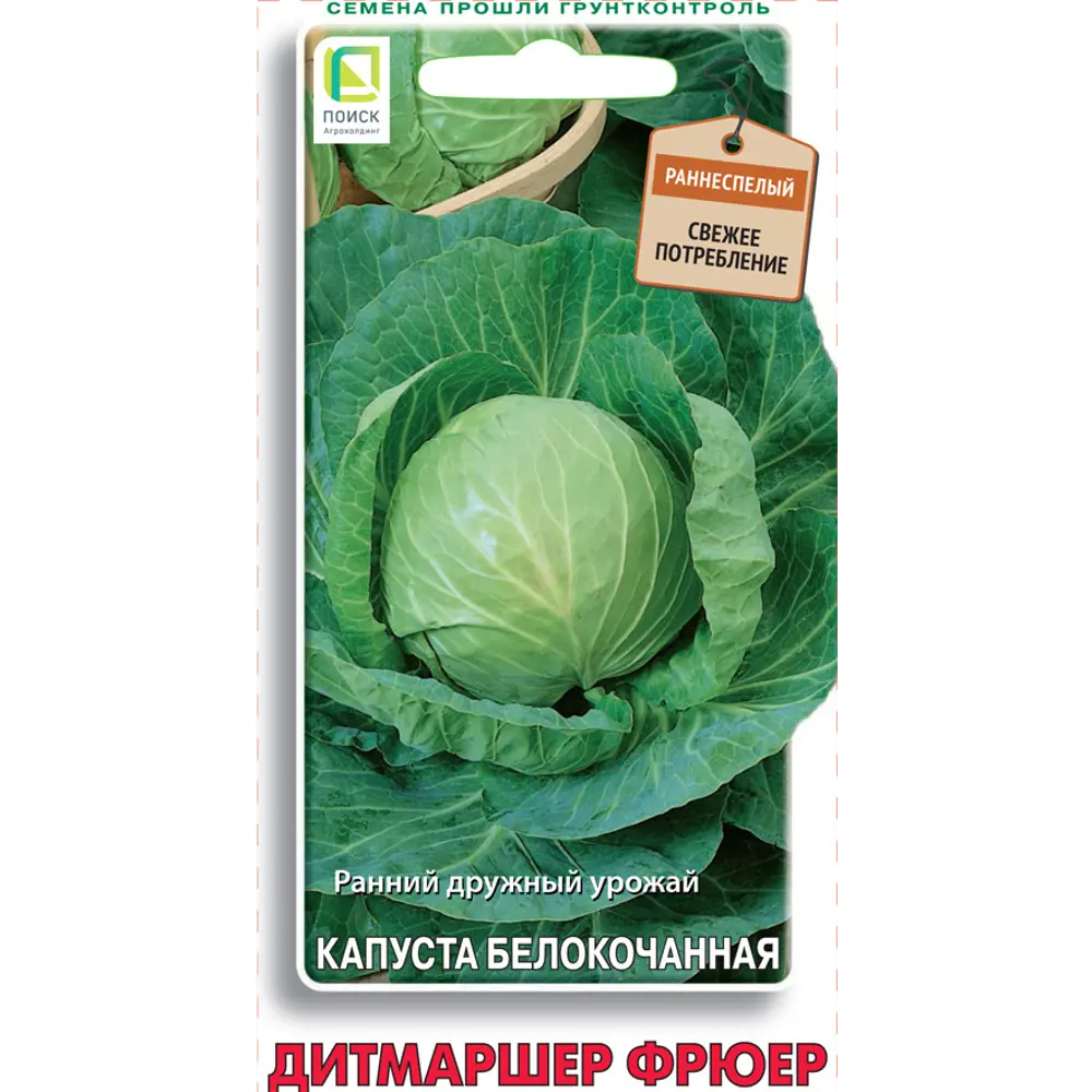 Семена капусты белокочанной Дитмаршер Фрюер - ранний урожай 89401117 ПОИСК STLM-1564993