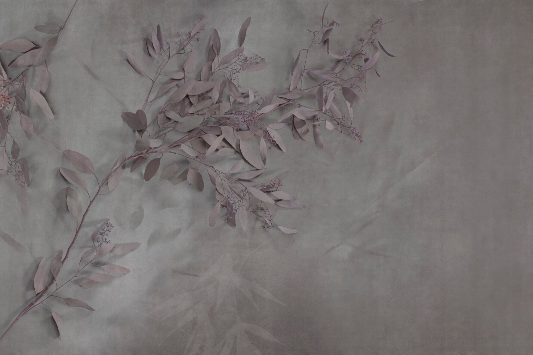 Обои с цветочными мотивами GLAMORA Creative Collection Chapter XIV ARCH-00074998 - Вид №4