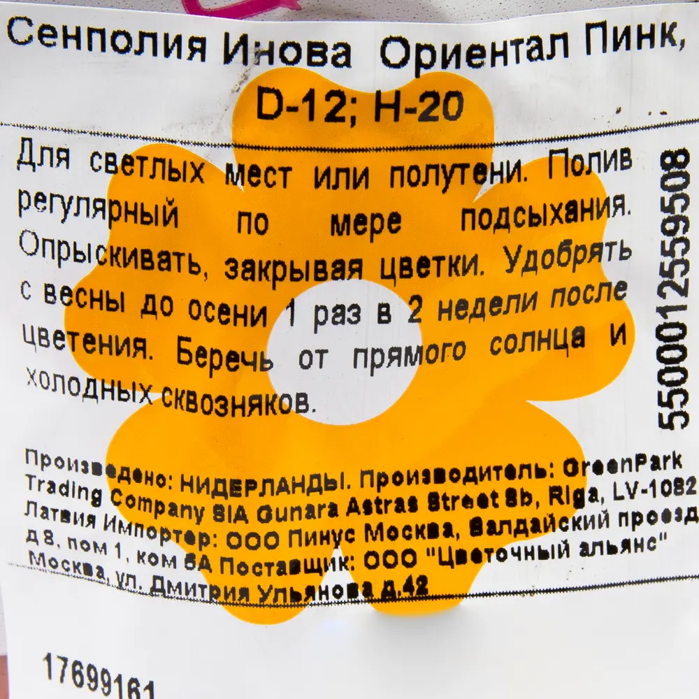 Сенполия Инова Oriental Pink, 20х12 см 17699161 STLM-2138039 Santreyd  - Вид №2