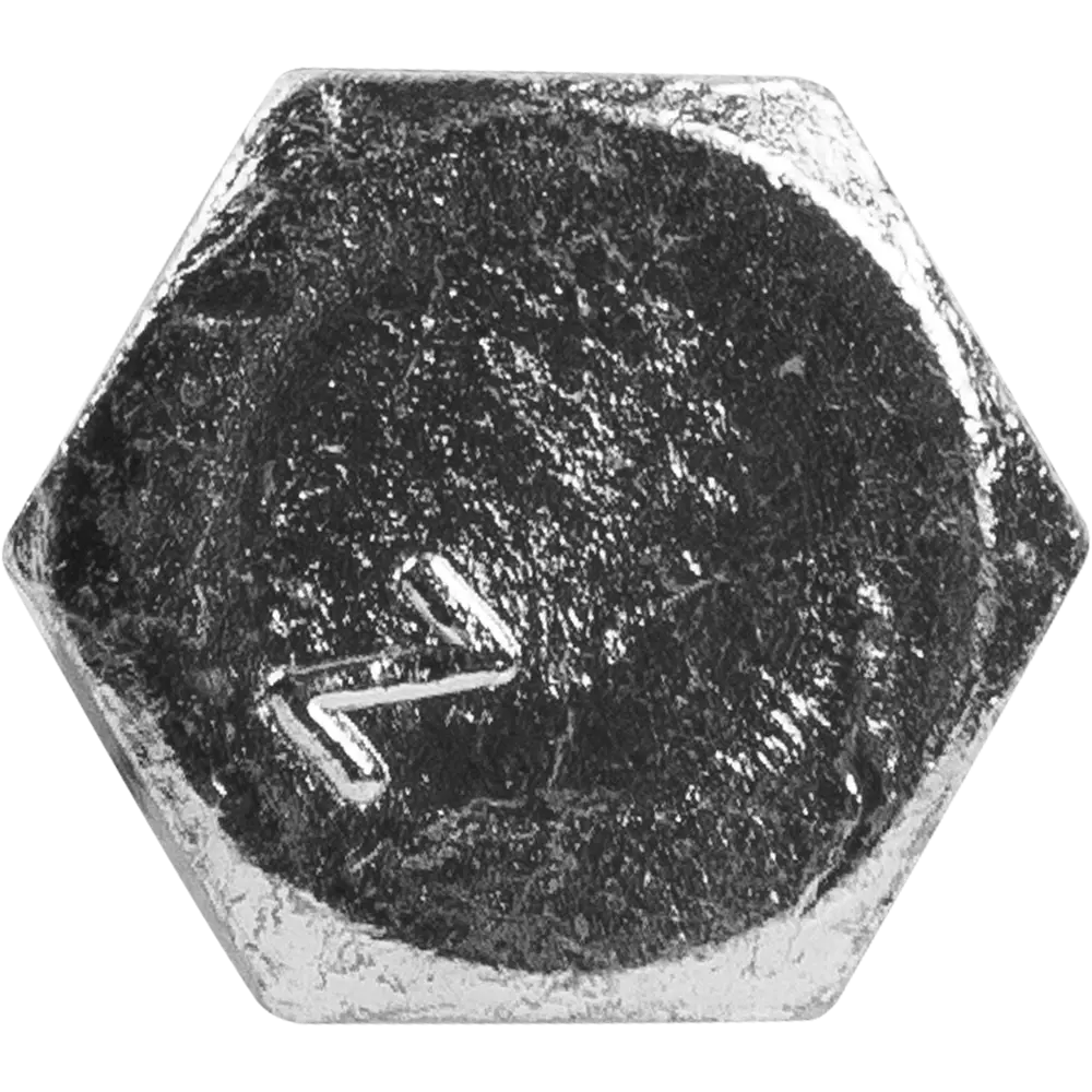 Шуруп с шестигранной головкой 8х60 мм Santreyd STLM-2039211 - Вид №1