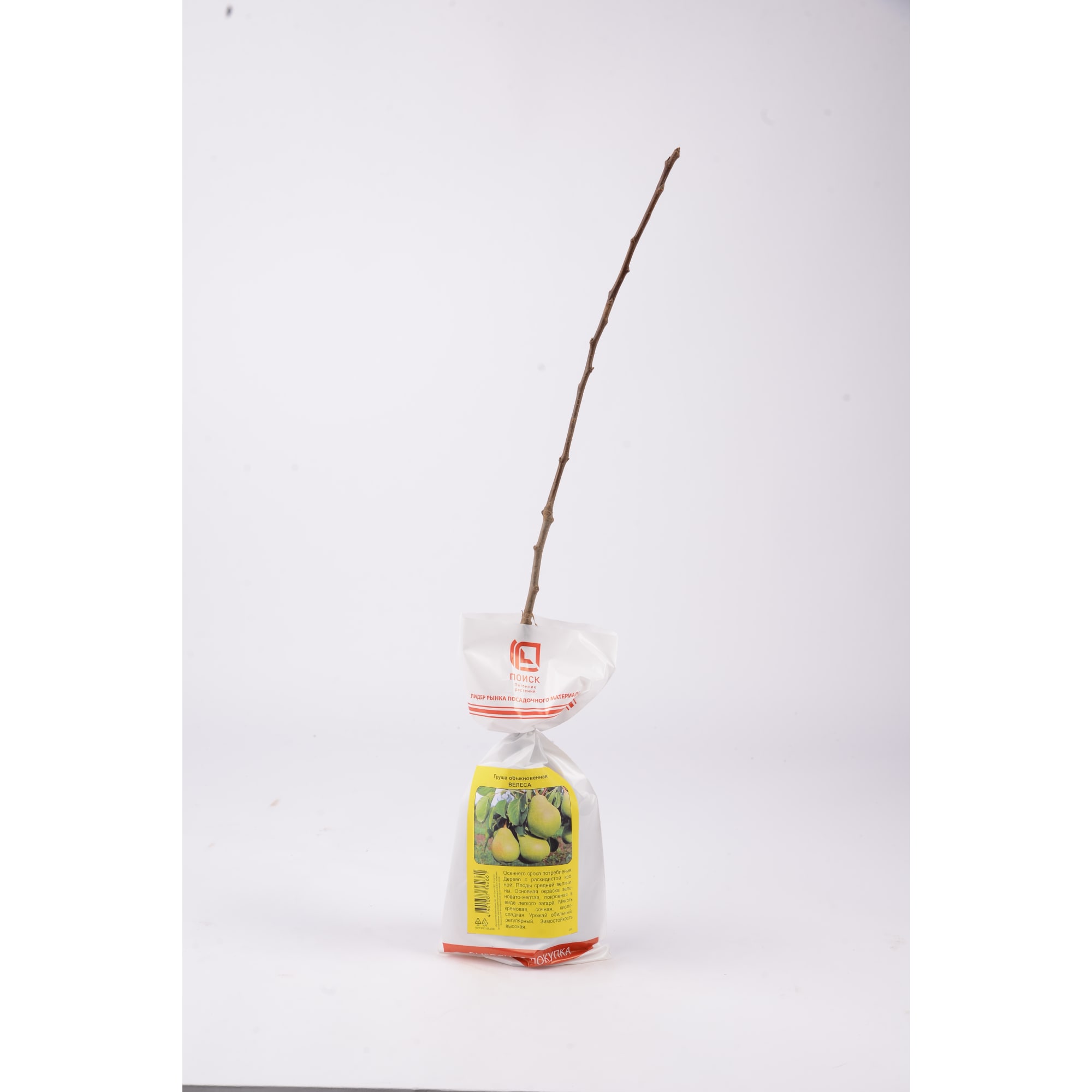 83787993 Груша Велеса h90 см Santreyd 