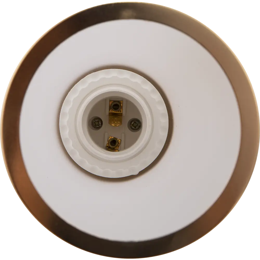 Люстра Эвита 3xE27x60 Вт, металл/стекло, цвет золото/белый WINK STLM-2155322 - Вид №2