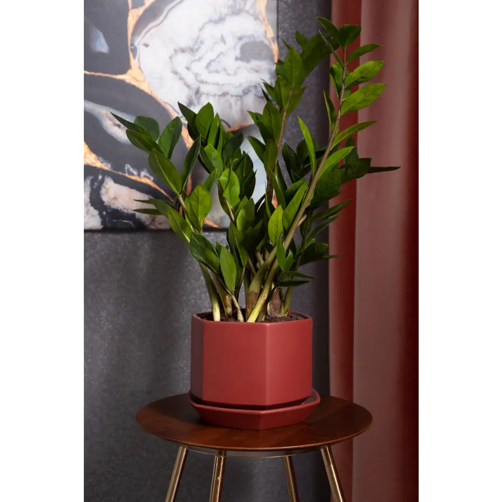 Горшок цветочный Goncar Меркурий 11x13.5x11 см v1 л керамика бордовый GONCHAR STLM-2041376 - Вид №2