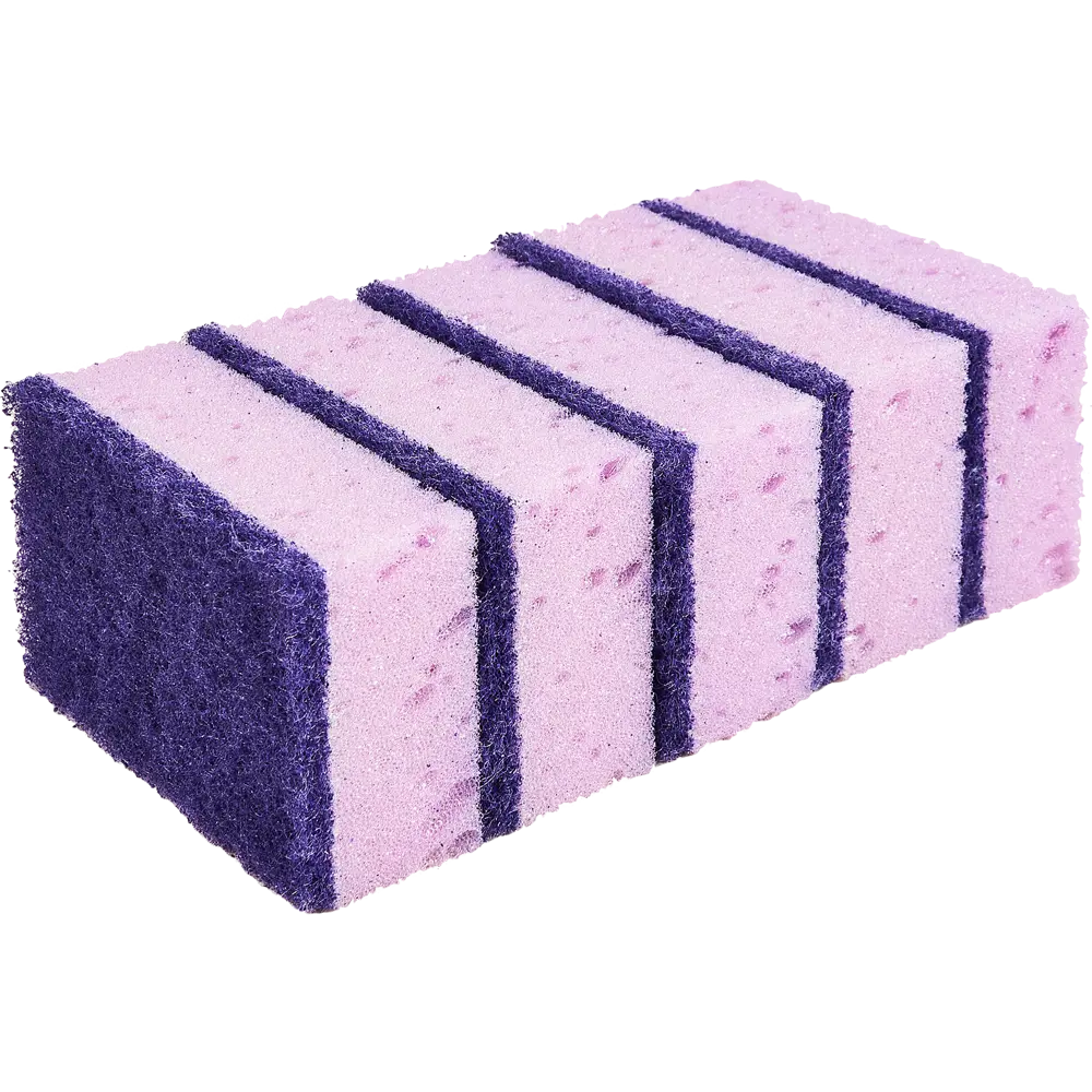 Губки для посуды Perfect House 5 шт Santreyd STLM-2145572