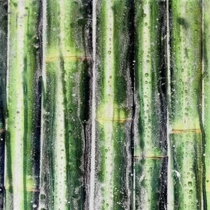 Декоративная панель Organic Green Bamboo