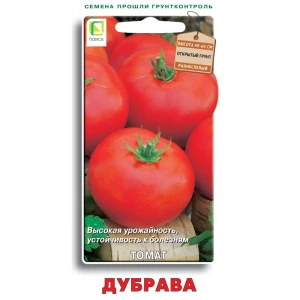 Семена овощей Поиск томат Дубрава