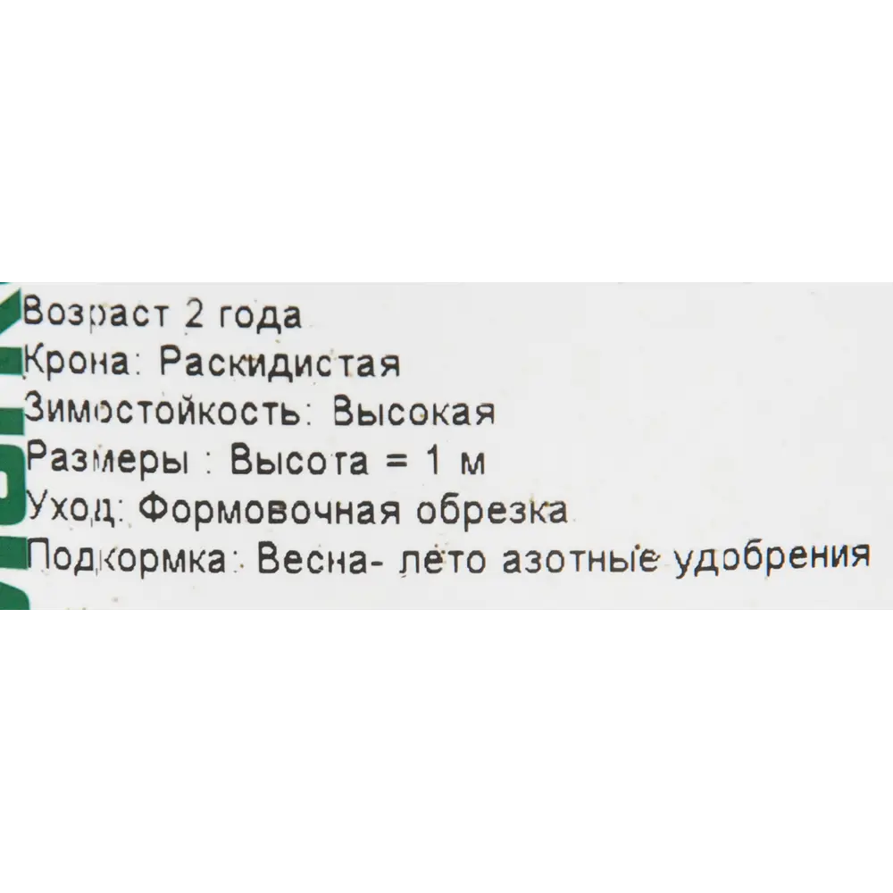 Астильба «Аметист» 15x45 см PLANTMARKET STLM-2173501 - Вид №1