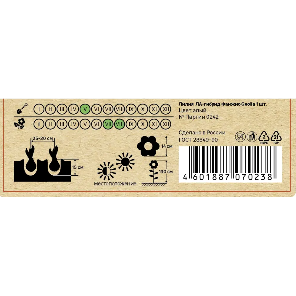 Лилия Geolia ла-гибрид Фанжио STLM-2181143 - Вид №4