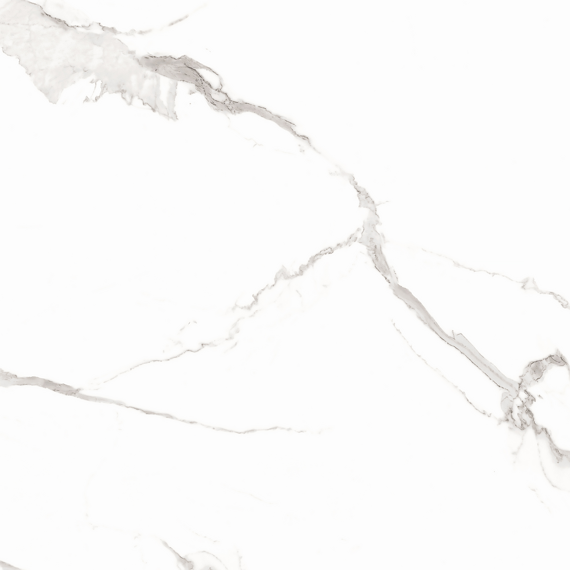 Керамогранит STATUARIO MIRES 60х60 Arcadia Ceramica FP1012-A STLM-1571933 89405719  - Вид №9